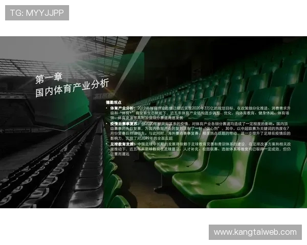 全球顶级足球联赛格局演变与现代职业体育产业发展的深度解析